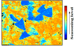 Color Imaging Seasoning Level 3